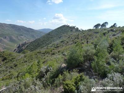 Sierra de Enmedio - Río Guadiela;ruta de los pescadores arenas de san pedro rutas y senderos